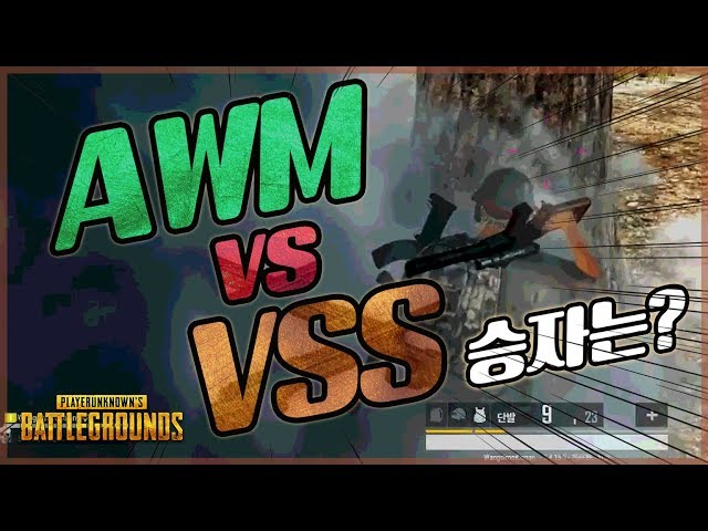 상대는 AWM, 난 VSS..?