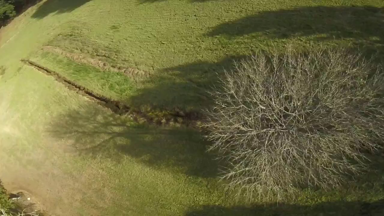 GALICIA ES VERDE