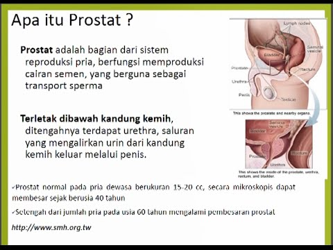 Video: Radioterapi Intraoperatif Pada Keganasan Ginekologis Dan Genito-urin: Fokus Pada Kanker Endometrium, Serviks, Ginjal, Kandung Kemih, Dan Prostat