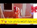روتينى يوم الغسيل أنا مش هسكت بعد كده وكلام مهم أنا مش هسامح اى حد جه عليا وأنا ستكم
