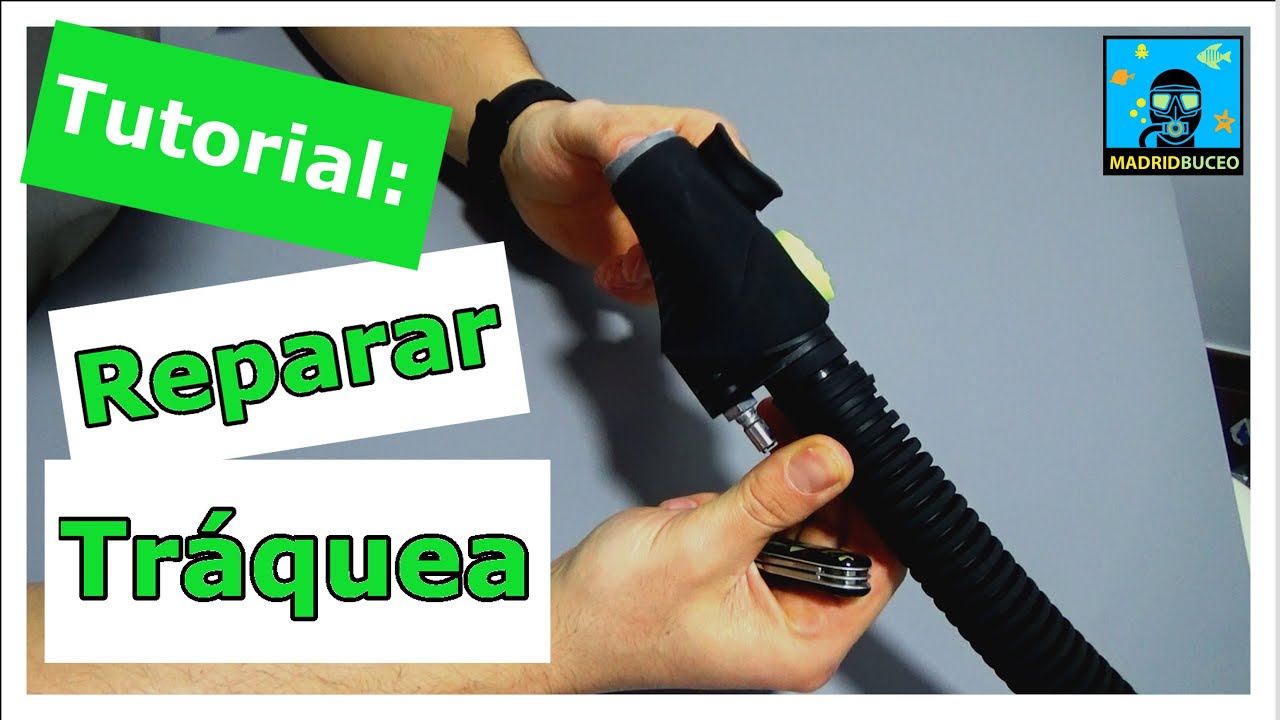Reparar traquea