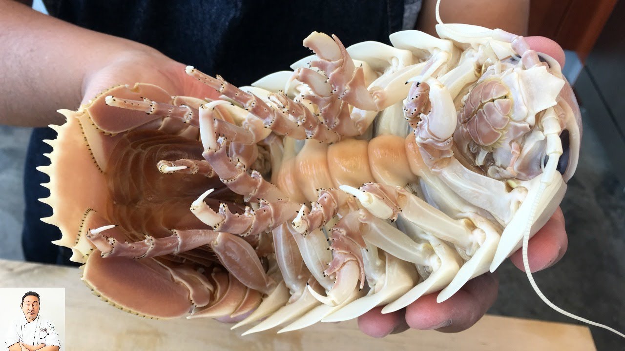 GRAPHIC: Real Live Isopod Hour | Cut, Clean, Cook | Hiroyuki Terada - Diaries of a Master Sushi Chef