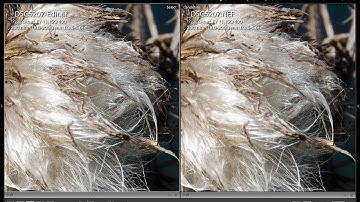 Nik Collection - Episode 6: RAW Presharpener