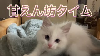 甘えん坊タイム