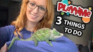 3 Enrichment ideas for your chameleon