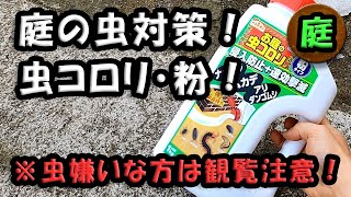 庭の虫対策！　「虫コロリ 粉」　＆　「虫に慣れたい・・・」