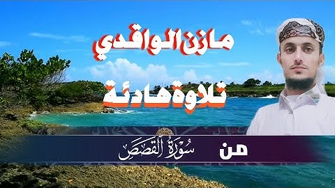 تلاوة من عالم الهدوء والراحة مازن الواقدي