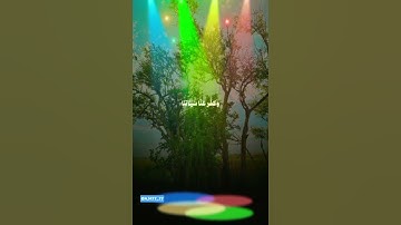 سورة آل عمران أيه 193 #اكسبلور