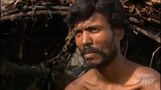 The Last Maneater Killer Tigers of India