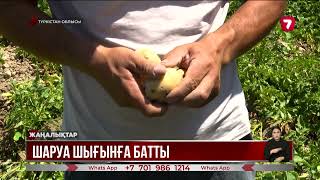 видео: Сайрамдағы су тапшылығы: шаруалар шығынға батып жатыр картинка: Сайрамдағы су тапшылығы: шаруалар шығынға батып жатыр