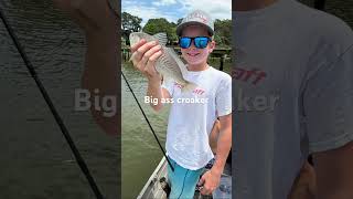 Big ahhh croaker