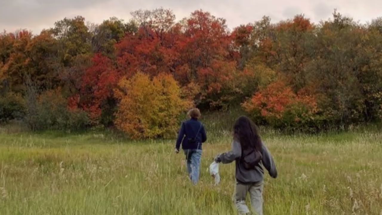 Playlist | 🍂비는 오고 가을을 멀어져가고☔️ | 지소쿠리클럽, 한로로, wave to earth, 혁오, 지구zgoo, 존박, 샘킴, 데이먼스이어 