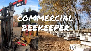 Commercial Beekeeper - Northern California Queen Breeder Operation Tour - A.N. Bees