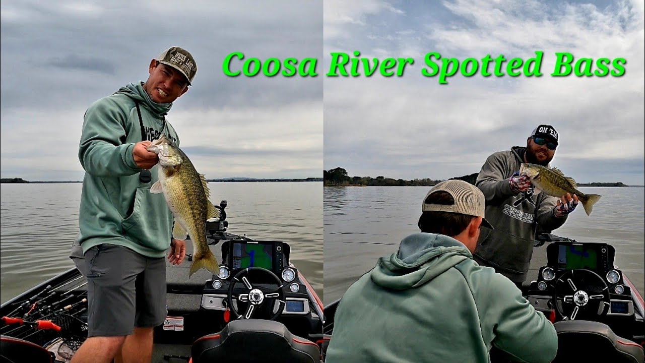 Bass fishing on Weiss Lake. Strong spotted bass