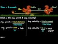 Squirrel Speed and Velocity: Analyzing Motion Through Distance and Displacement