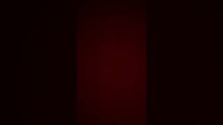 IMG 6103