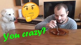 Invisible Food Challenge | My Dog Reacts