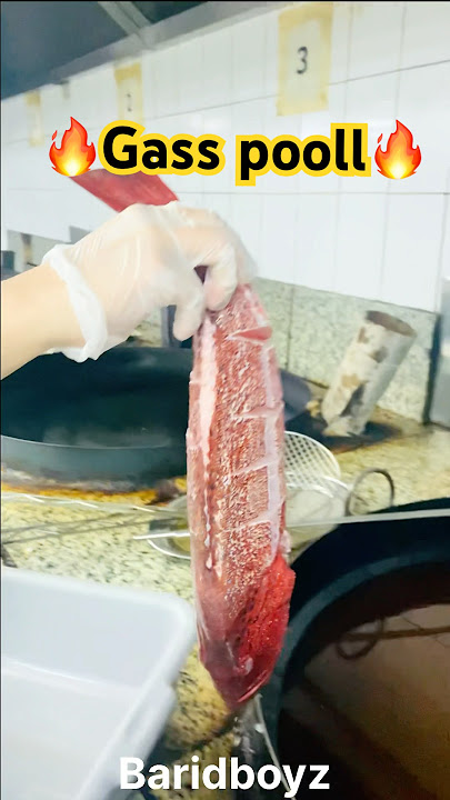 Fri red grouper #short #youtube #viralvideo #like#comment #youtubeshorts #trending