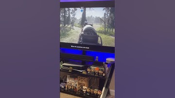 Red Dead Online moonshine delivery in cinematic mode