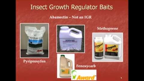 Fire Ant Management (Advanced), Part 2 - Master Gardener Training
