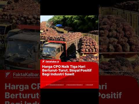 Harga CPO Naik Tiga Hari Berturut-Turut, Sinyal Positif Bagi Industri Sawit