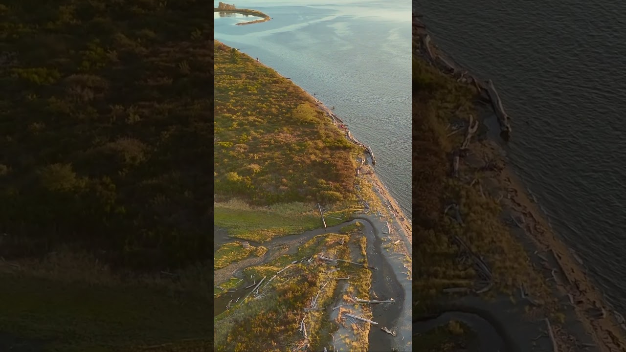 Drone Flyover of Jetty Island – Aerial Views of Everett’s Hidden Beach in 4K | DJI Mini 4 Pro