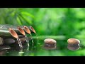 Healing music BGM- Quiet piano songs, Relaxing music with the sounds of nature Bamboo Water Fountain