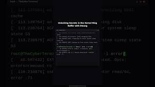 Dmesg: Kernel Ring Buffer Secrets