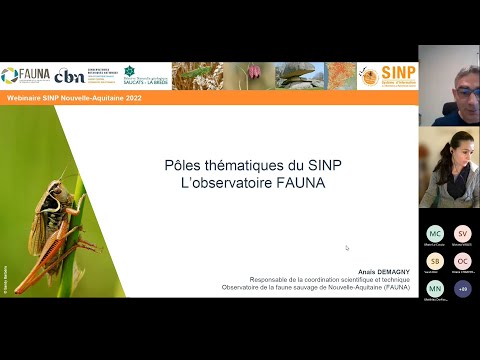 hqdefault Fonctionnalités communautaires de Spinpolo : Forums et discussion
