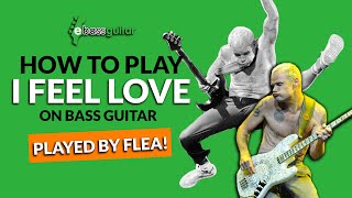 How To Play I Feel Love On The Bass Guitar  Played By Flea