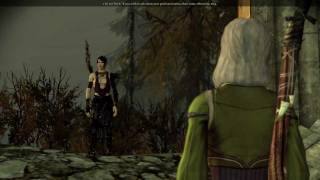 Dragon Age: Origins Alistair Romance part 5: Meeting Morrigan & Flemeth 2