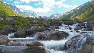 Relaxing music & soft nature sounds:relaxing piano music/sleep music/peaceful music/Music Hub screenshot 4