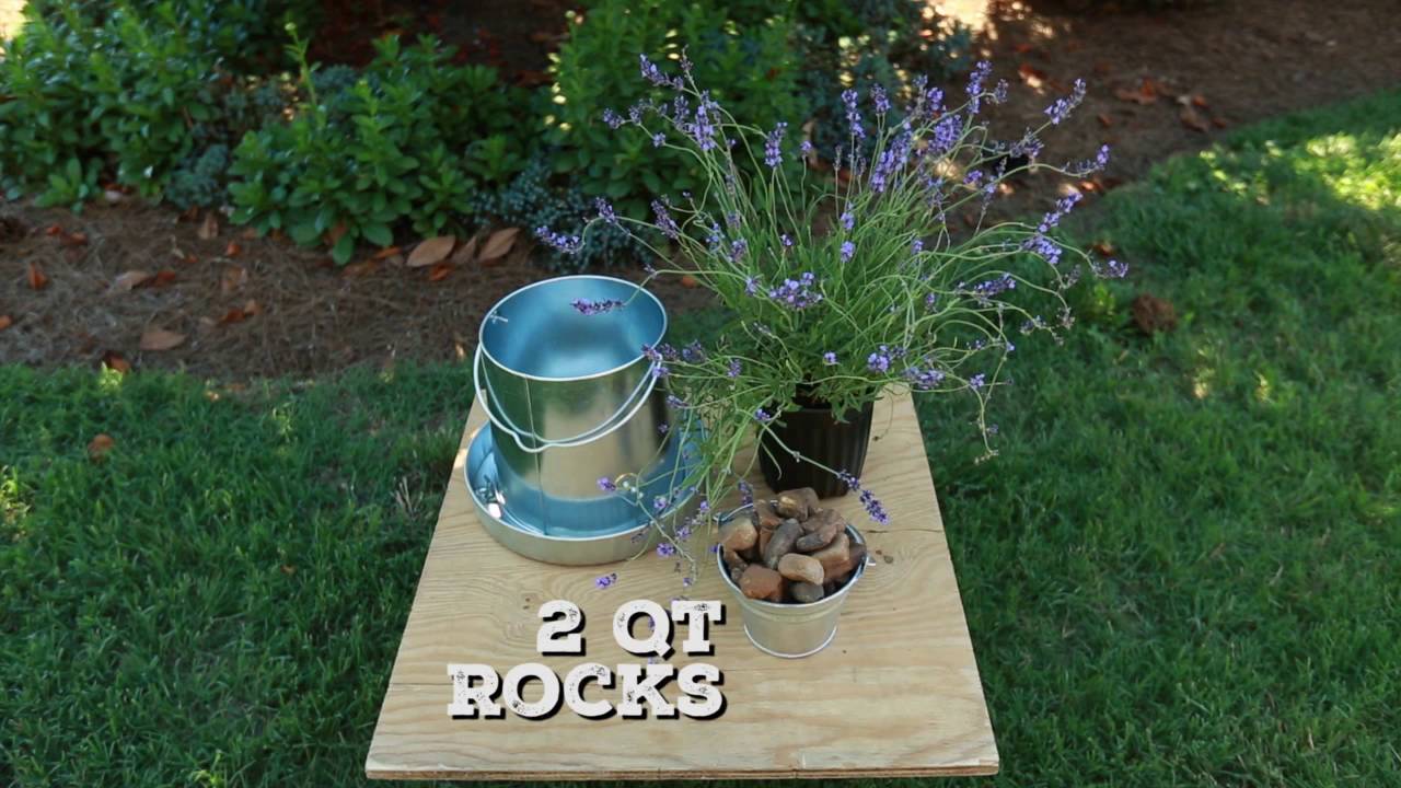 How To Make A Chicken Feeder Planter For Flowers Or Herbs Youtube
