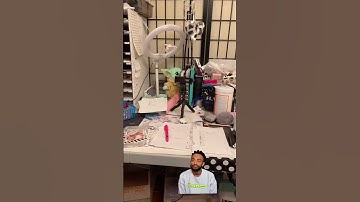 Organize Your Chaos: Boost Productivity #stickerbusiness #stickershop