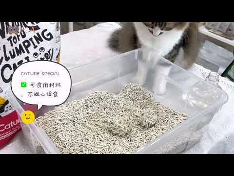 Unboxing Cature’s NEW Premium Tofu Litter with Ah Zhao! ✨