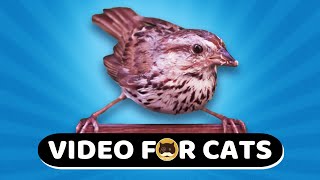 Cat Games - Cute Little Birdie. Bird Video For Cats | Cat Tv.