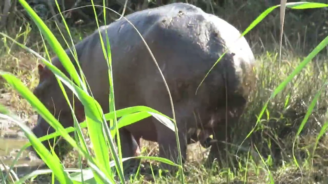 The tour experience on Fannas(2)