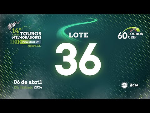 LOTE 36 V9178921 - 14º Leilão de Touros Melhoradores Nelore OL - Edição Virtual