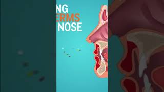 #Short Is Holding In A Sneeze Actually Unhealthy  SparkVideo