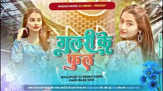 Dj Malaai Music (( Jhankar )) Hard Bass Dj Remix🎶 Gulari Ke Phool | New Viral Bhojpuri Dj Songs 2025
