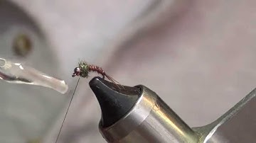 12 JUST ADD    WATER             MIDGE