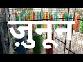 ऐसे होती है Vertical Vegetable Gardening 