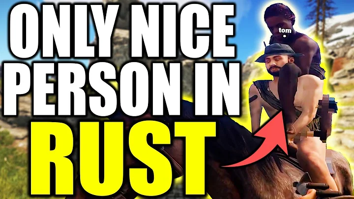 I met the only nice person in Rust