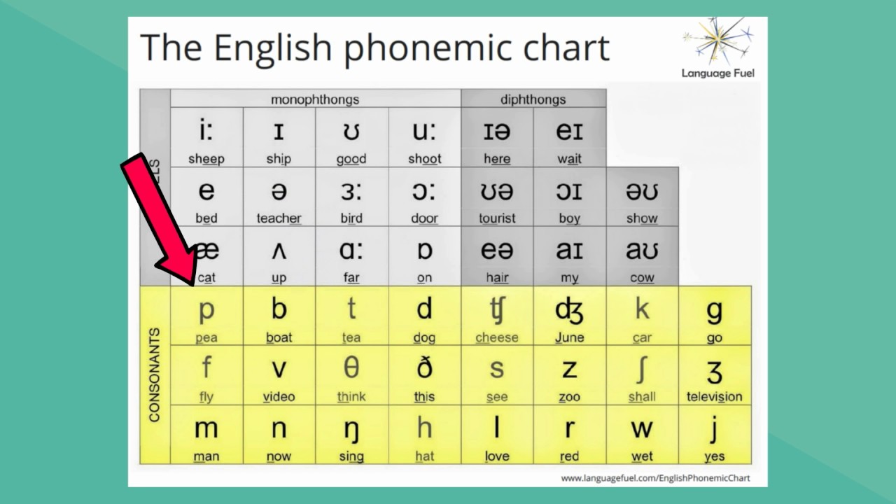 Ipa Consonant Chart For English Phonemes