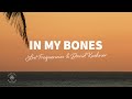 Lost Frequencies &amp; David Kushner - In My Bones (Lyrics)