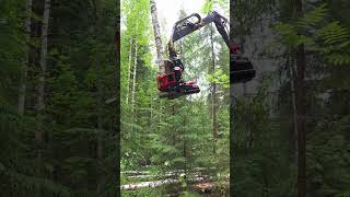 Farmikko 221TCE energiakoura traktorin metsänosturissa / tree shear / energiklipp / fällgreifer