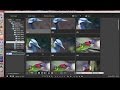 Canon Digital Photo Professional (DPP) 4: Managing Files