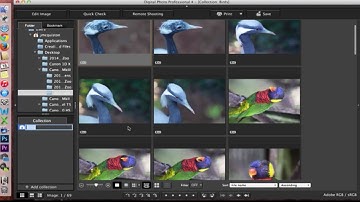 Canon Digital Photo Professional (DPP) 4: Managing Files