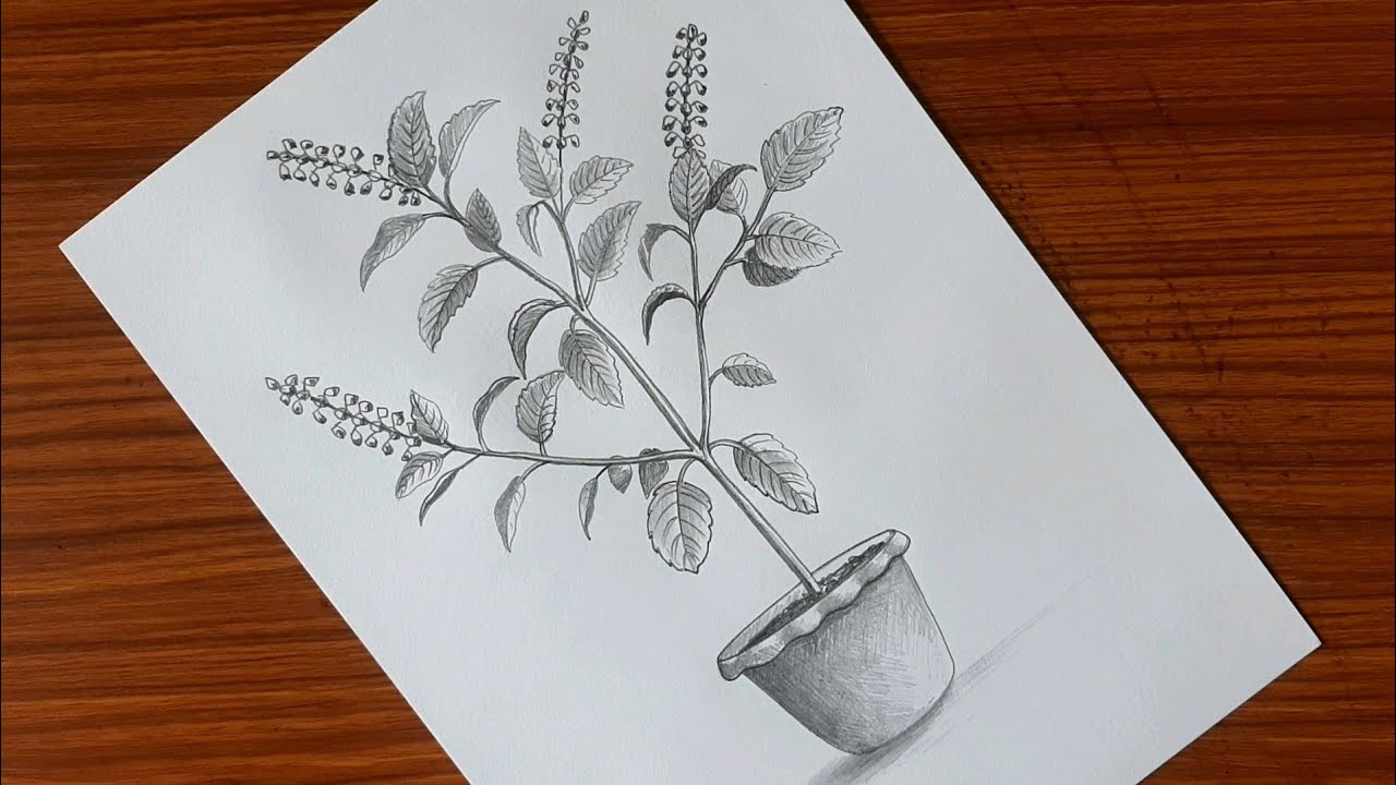 Ink tulasi hand drawn sketch Royalty Free Vector Image