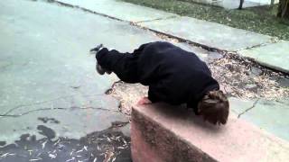 VID 20130101 045639